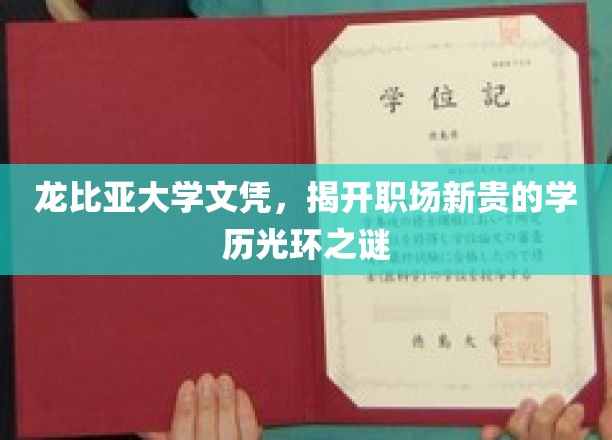龙比亚大学文凭，揭开职场新贵的学历光环之谜
