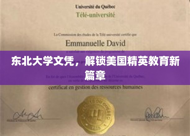 东北大学文凭助力，开启美国精英教育新里程