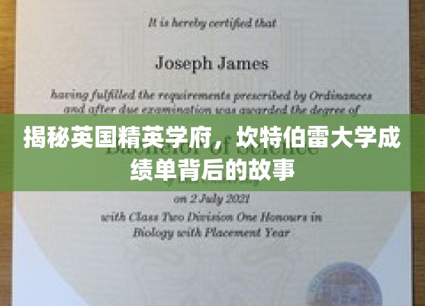 揭开英国精英学府，坎特伯雷大学成绩单背后的故事