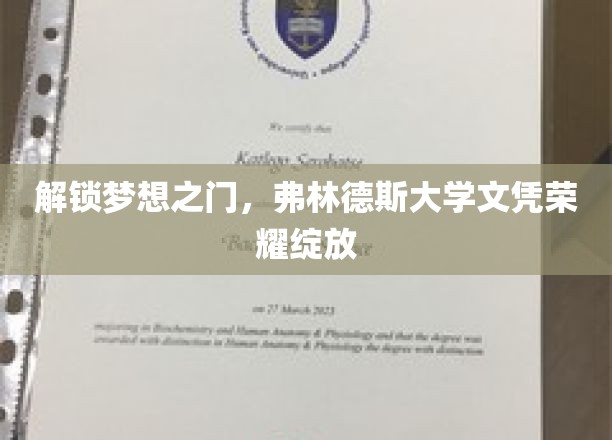 荣耀启航，弗林德斯大学学子成就梦想新篇章