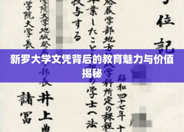 新罗大学文凭背后的教育魅力与价值揭秘