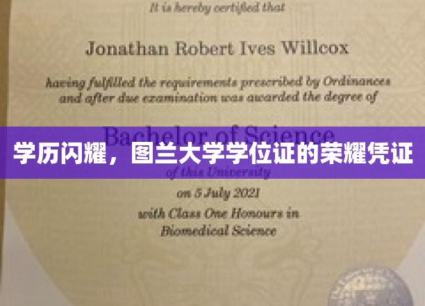 图兰荣耀，揭秘学历之光，大学学位证背后的非凡价值