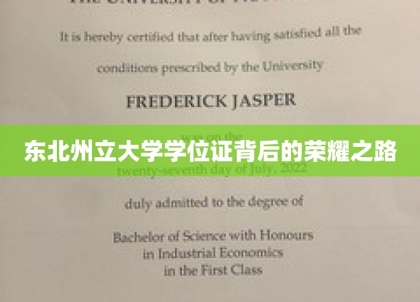 解锁东北州立大学学位证的辉煌征程