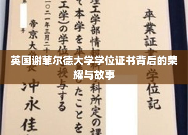 英国谢菲尔德大学学位证书背后的荣耀与故事