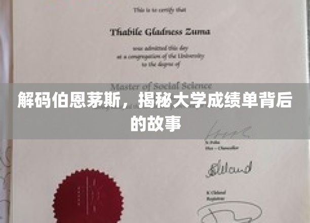 解码伯恩茅斯，揭秘大学成绩单背后的故事
