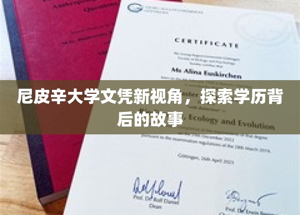 尼皮辛文凭背后的秘密，学历背后的真实轨迹大揭秘