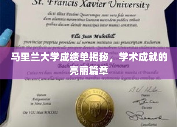 马里兰大学学子荣耀瞬间，揭秘非凡学术成就背后的故事
