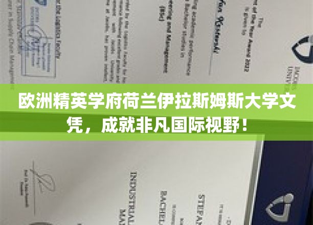 荷兰伊拉斯姆斯大学文凭，开启国际化精英之路，拓展无限视野！