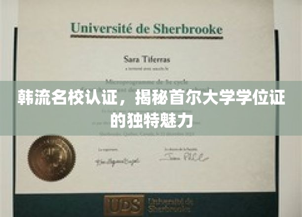 韩流名校认证，揭秘首尔大学学位证的独特魅力
