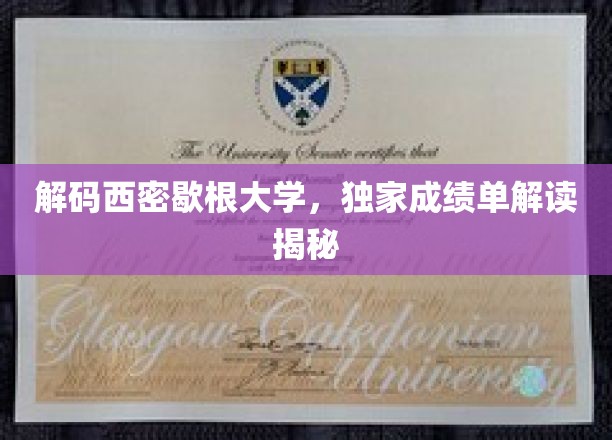 解码西密歇根大学，独家成绩单解读揭秘