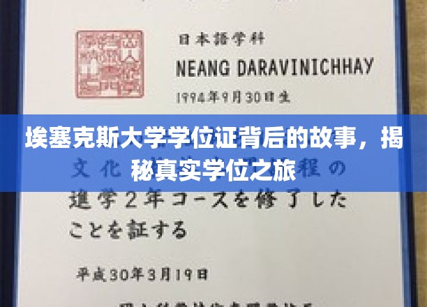 探寻埃塞克斯大学学位证的传奇历程，一场真实的学历征途揭秘