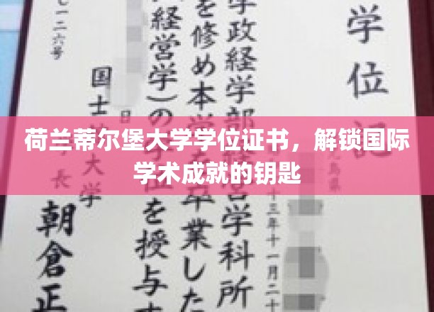 荷兰蒂尔堡大学学位证书，解锁国际学术成就的钥匙