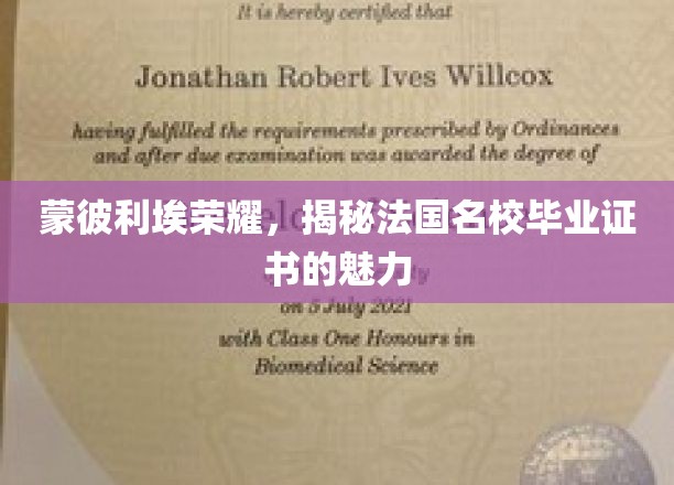 蒙彼利埃荣耀，揭秘法国名校毕业证书的魅力