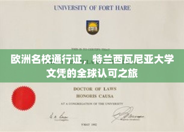 欧洲学术通行证，探索特兰西瓦尼亚大学文凭的国际认可奇迹
