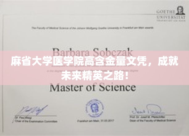 麻省大学医学院高阶文凭，开启顶尖医学精英的辉煌征程