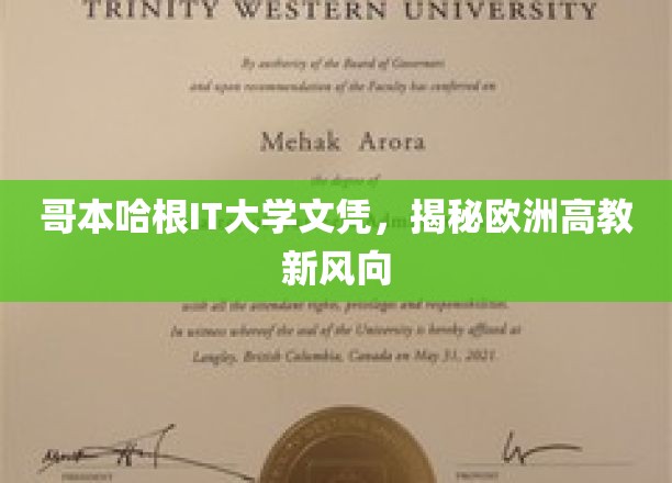 哥本哈根IT大学文凭，解码欧洲高教新趋势