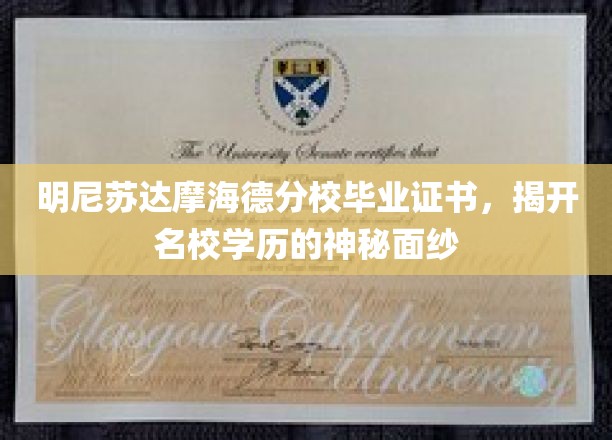 明尼苏达摩海德分校毕业证书，揭开名校学历的神秘面纱