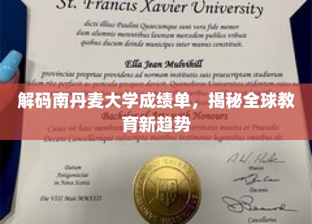 解码南丹麦大学成绩单，揭秘全球教育新趋势