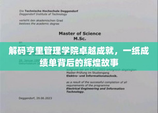 揭秘亨里管理学院，卓越成绩背后的非凡征程