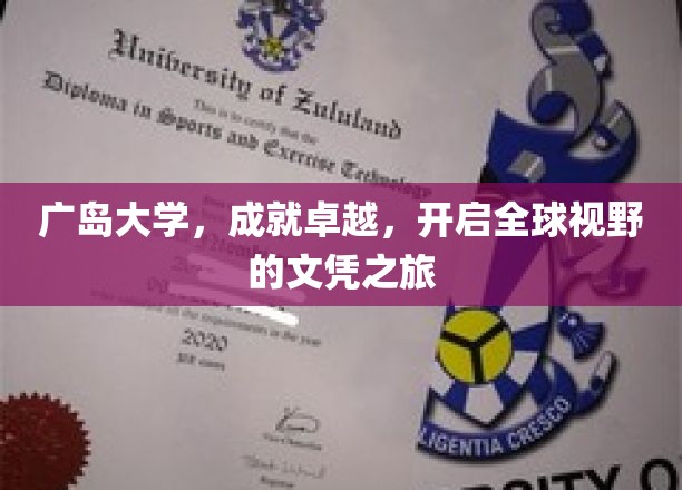 广岛大学卓越之旅，解锁国际视野的文凭新篇章