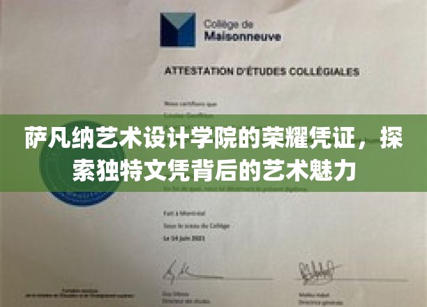 解锁萨凡纳艺术设计学院，揭秘文凭背后的艺术瑰宝