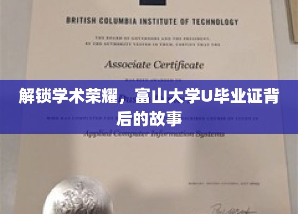 解锁学术荣耀，富山大学U毕业证背后的故事