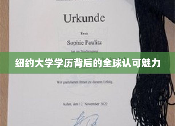 纽约大学学位，国际视野下的学历通行证