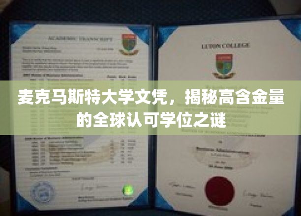 解码麦克马斯特，全球瞩目的高含金量学位背后