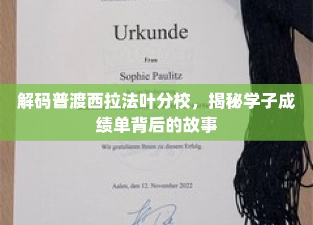 揭开普渡西拉法叶分校学子卓越成绩背后的成长轨迹