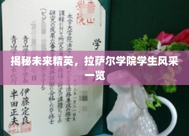 拉萨尔学院精英学子，未来之星闪耀校园风采