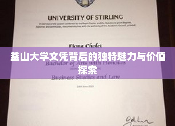 釜山大学文凭，揭开其独特价值与吸引力之谜