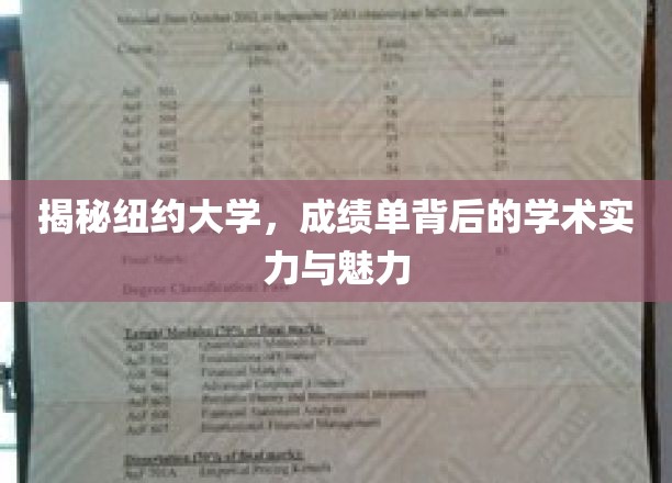揭秘纽约大学，成绩单背后的学术实力与魅力