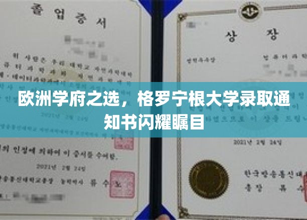 欧洲学府之选，格罗宁根大学录取通知书闪耀瞩目