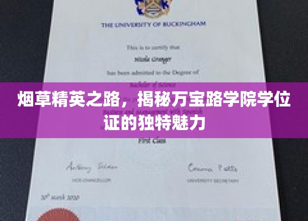 万宝路学院学位证，探寻烟草界精英的神秘成就之路