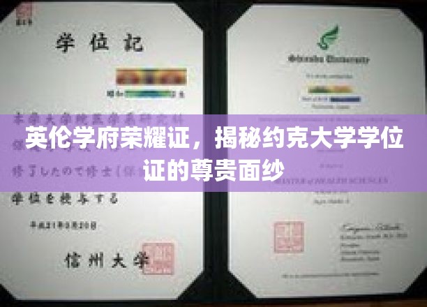 揭开约克大学学位证书的英伦荣耀之谜