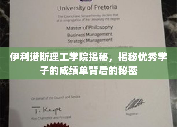 伊利诺斯理工学院学霸养成记，揭秘顶尖学子背后的学术秘籍