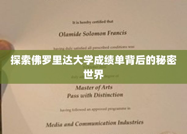 揭开佛罗里达大学成绩单的神秘面纱