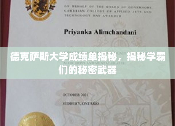 学霸秘籍大公开，德克萨斯大学成绩单背后的神秘力量