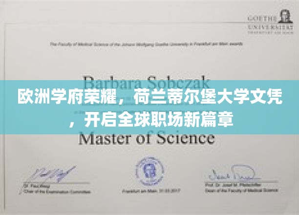 欧洲学府荣耀，荷兰蒂尔堡大学文凭，开启全球职场新篇章