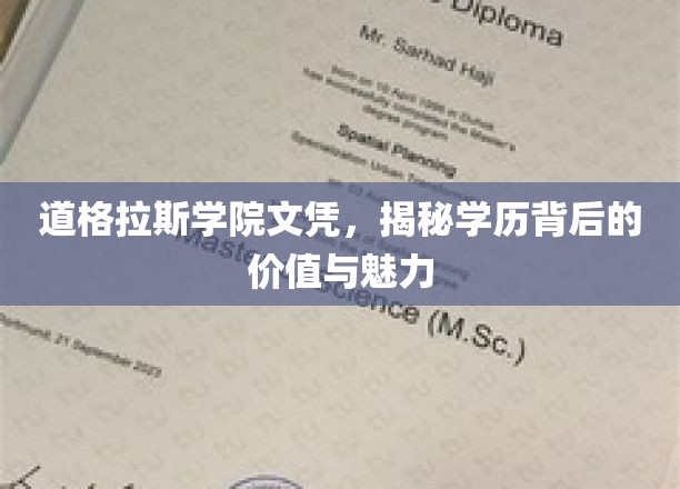 道格拉斯学院文凭，揭秘学历背后的价值与魅力