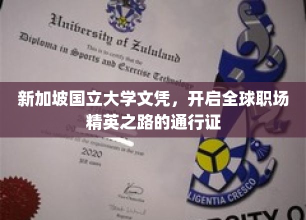 新加坡国立大学文凭，通往国际精英职场的金钥匙