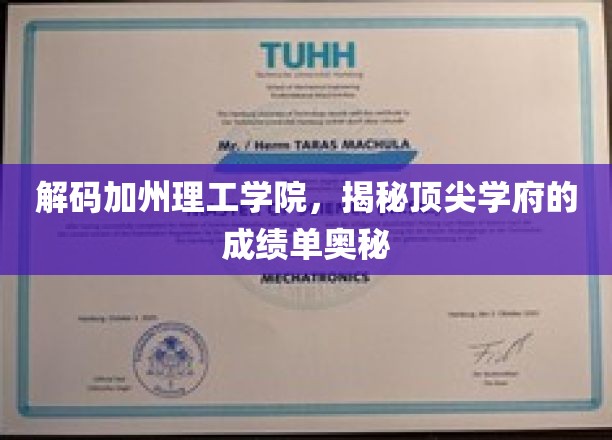 解码加州理工学院，揭秘顶尖学府的成绩单奥秘