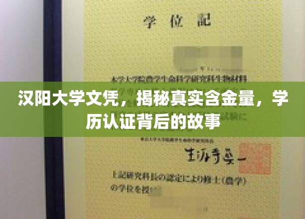 汉阳大学文凭探秘，学历认证背后的价值与真相