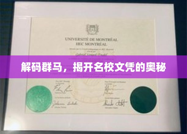 探寻群马名校，揭秘学历背后的力量