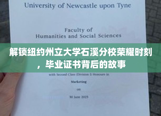 解锁纽约州立大学石溪分校荣耀时刻，毕业证书背后的故事