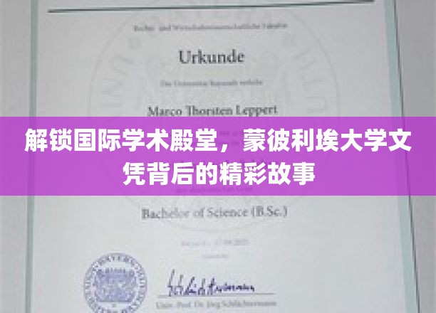 跨国学术之旅，揭秘蒙彼利埃大学文凭背后的辉煌篇章