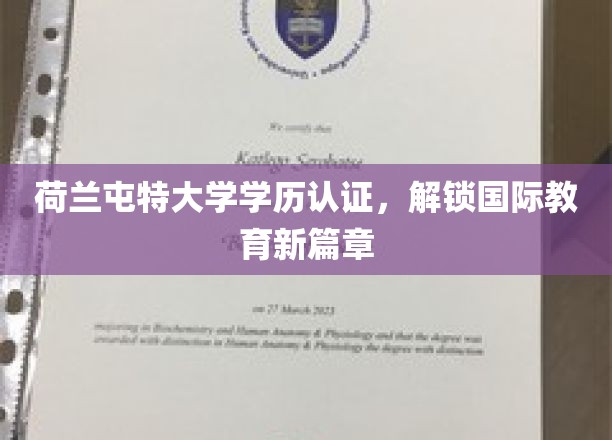 荷兰屯特大学学位证书，引领全球教育新视界