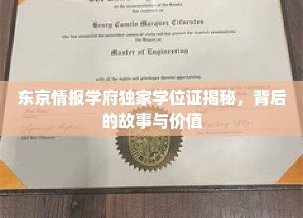 东京情报学府独家学位证揭秘，背后的故事与价值