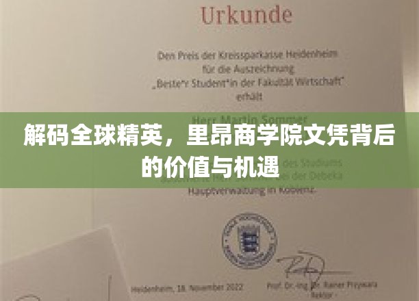 探寻里昂商学院文凭的全球魅力，价值与机遇尽在掌握