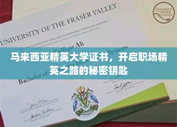 马来西亚精英大学证书，开启职场精英之路的秘密钥匙